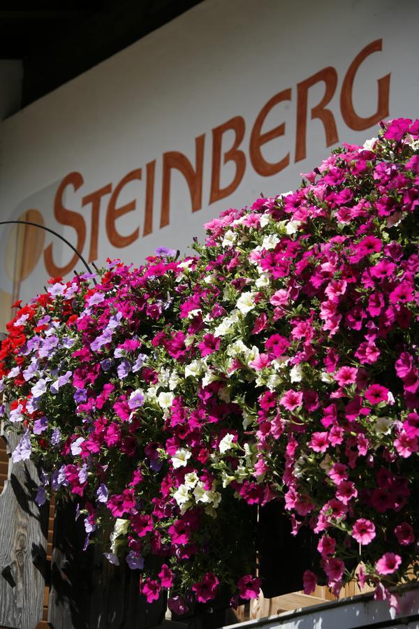 Pension Steinberg Ultimo Ngoại thất bức ảnh